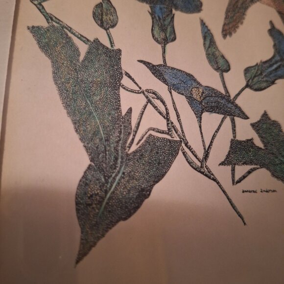 Annarae‎ Anderson Limited Edition Hummingbird Flowers Framed Artwork 101 of 500 - Picture 5 of 6